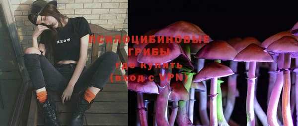 мескалин Арсеньев