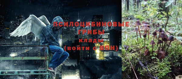 бошки Армянск