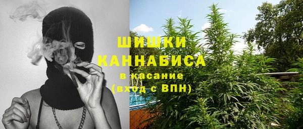 Альфа ПВП Аркадак