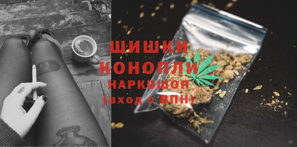 Альфа ПВП Аркадак