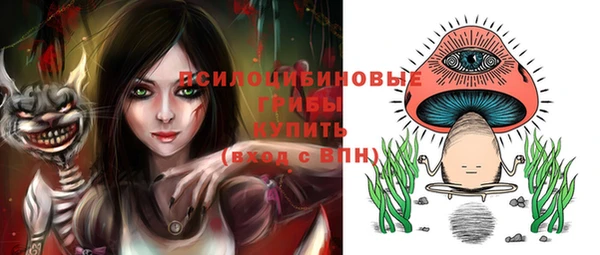 бошки Армянск