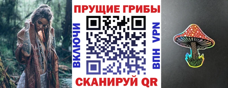 Псилоцибиновые грибы прущие грибы  Плавск 